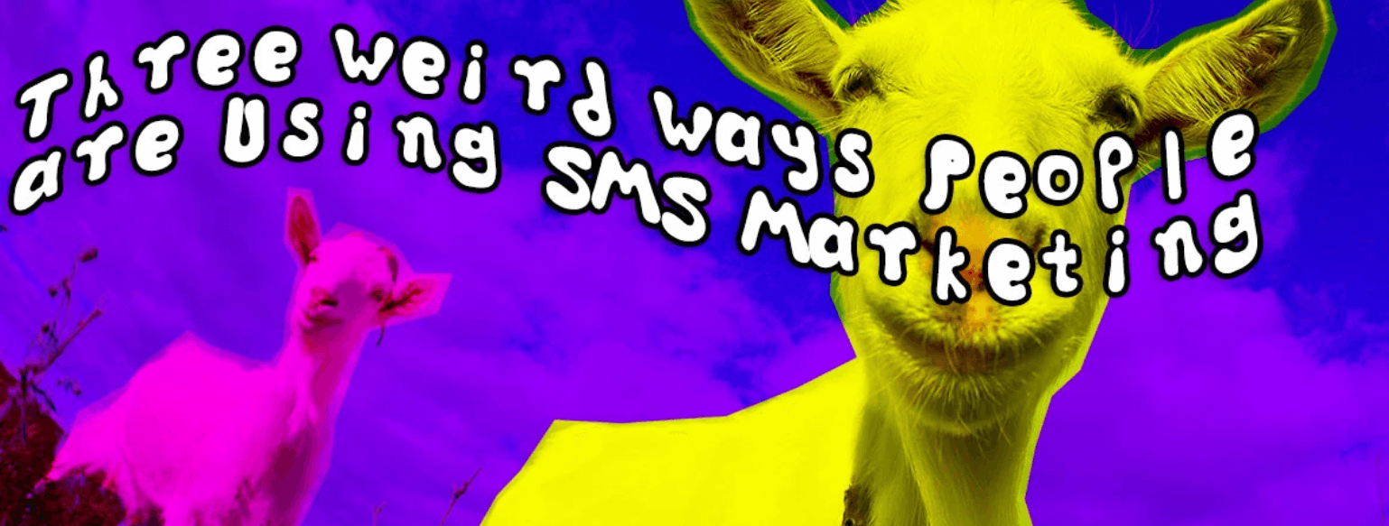 3 Weird SMS Case Studies 3 Weird SMS Case Studies